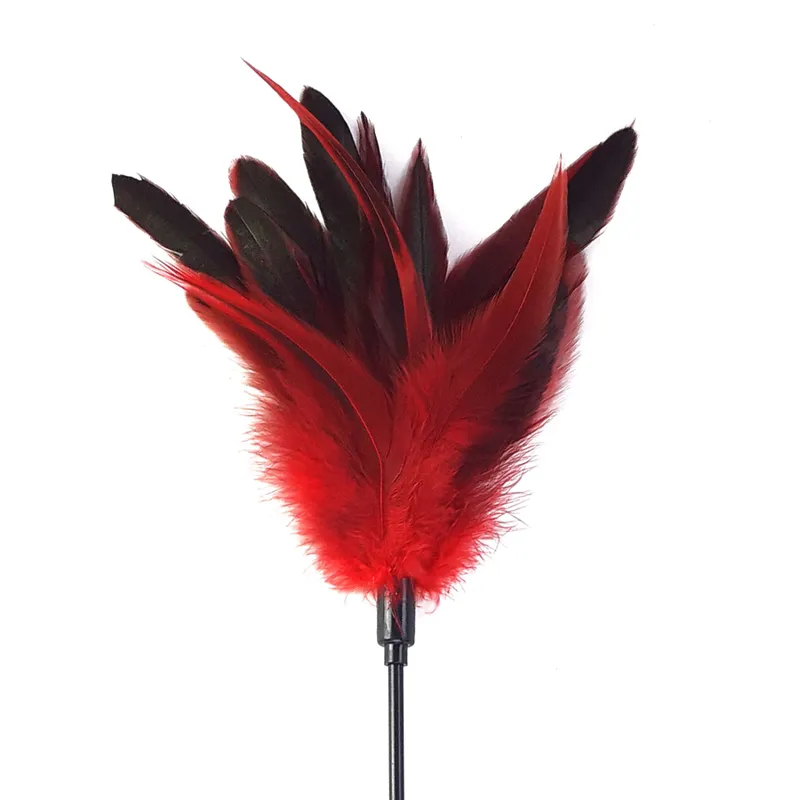 Щекоталка з пером півня Art of Sex – Feather Paddle, червона