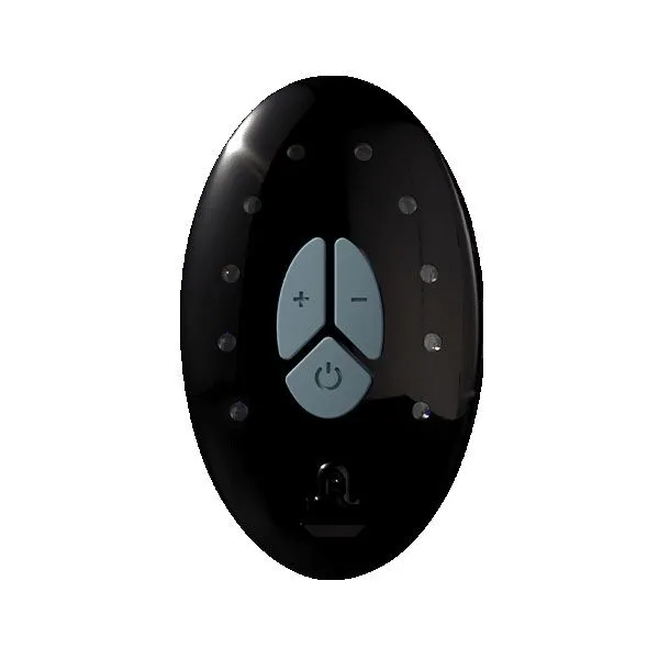 Пульт керування Adrien Lastic LRS (Lastic remote system) + кабель