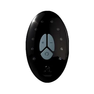 Пульт керування Adrien Lastic LRS (Lastic remote system) + кабель