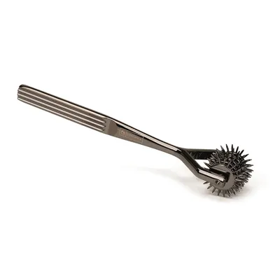 Колесо Вартенберга Liebe Seele Five-Row Wartenberg Pinwheel Silver, 5 рядів голок