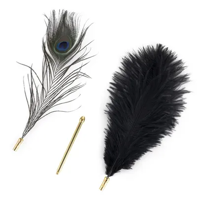 Лоскітка LOCKINK SEVANDA Natural Peacock Flirting Feather Tickler, перо павича та страуса