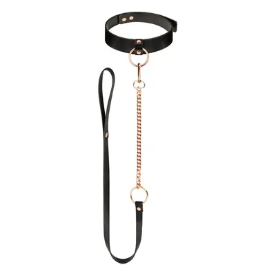 Нашийник з повідцем Rosy Gold Collar with Leash, чорний